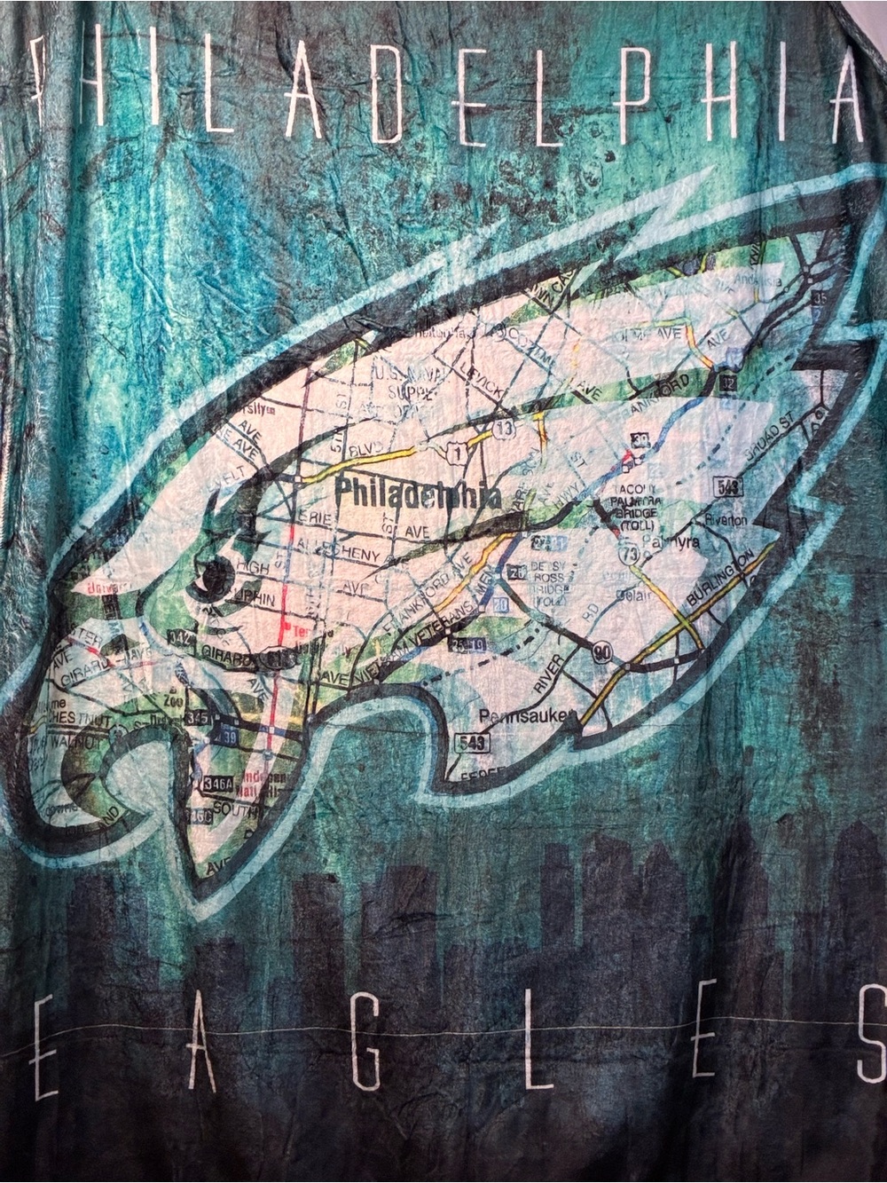 Philadelphia Eagles Teal Map Logo Throw